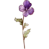 Feb - Violet