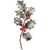 Dec - Holly