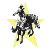 128 - Sports - Rodeo 1 (GOLD)