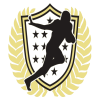 118 - Sports - Football 1 (GOLD)