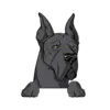 Great Dane 7