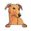 Greyhound (Brown)