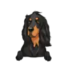 Gorden Setter