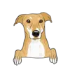 Greyhound 2