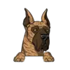 Great Dane 3