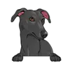 Greyhound (Black)