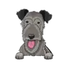 Irish Wolfhound 1