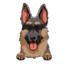 German Shepherd 1