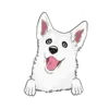Husky 9