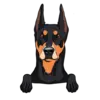 German Pinscher 1