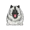 Keeshond 1