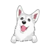 Husky 5