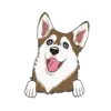 Husky 8