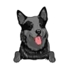 Heeler 2