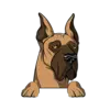 Great Dane 4