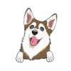 Husky 8