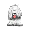 Komondor 1
