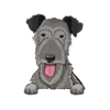 Irish Wolfhound 1