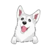 Husky 5