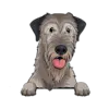 Irish Wolfhound