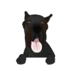 Great Dane 5