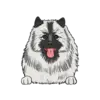 Keeshond 1