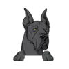 Great Dane 7