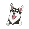 Husky 3