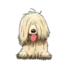 Komondor 2