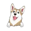 Husky 4