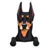 German Pinscher 1