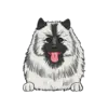 Keeshond 1