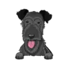 Irish Wolfhound 2
