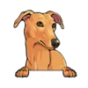 Greyhound (Brown)
