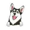 Husky 3