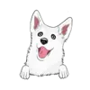 Husky 9