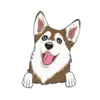 Husky 8