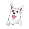 Husky 5