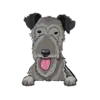 Irish Wolfhound 1