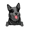 Heeler 2