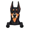 German Pinscher 1