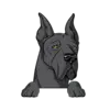 Great Dane 7
