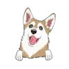 Husky 4