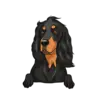 Gorden Setter