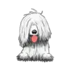 Komondor 1