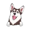 Husky 7