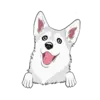 Husky 5