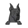 Great Dane 7