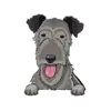 Irish Wolfhound 1