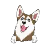 Husky 8